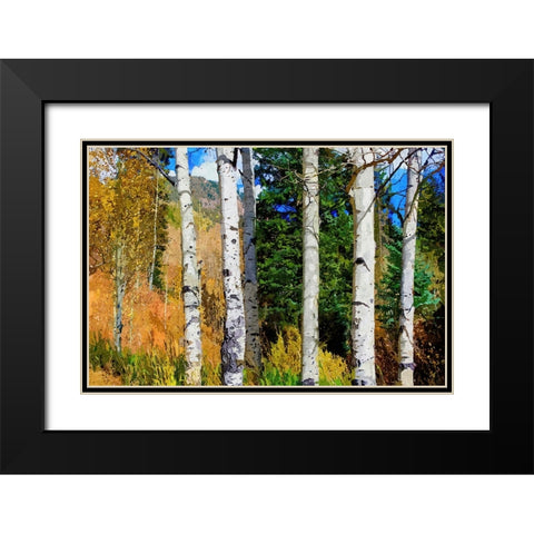 Aspen Grove Black Modern Wood Framed Art Print with Double Matting by Dundon, Denise