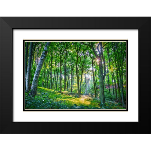 Emerald Forest Black Modern Wood Framed Art Print with Double Matting by Dundon, Denise