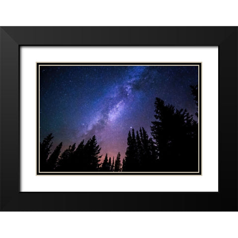 Conifers and Milky Way Black Modern Wood Framed Art Print with Double Matting by Dundon, Denise
