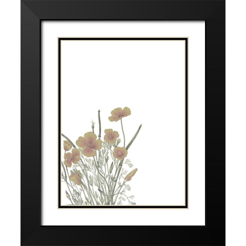 Wildflowers II Black Modern Wood Framed Art Print with Double Matting by Wieners, Valerie