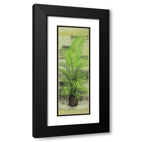 Palm Tree Black Modern Wood Framed Art Print with Double Matting by Burney, Yvonne Coleman