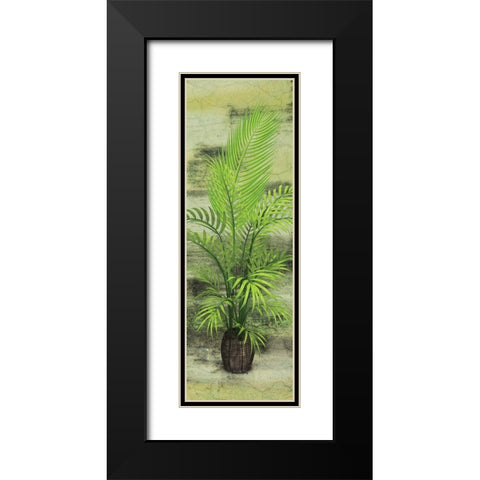 Palm Tree Black Modern Wood Framed Art Print with Double Matting by Burney, Yvonne Coleman