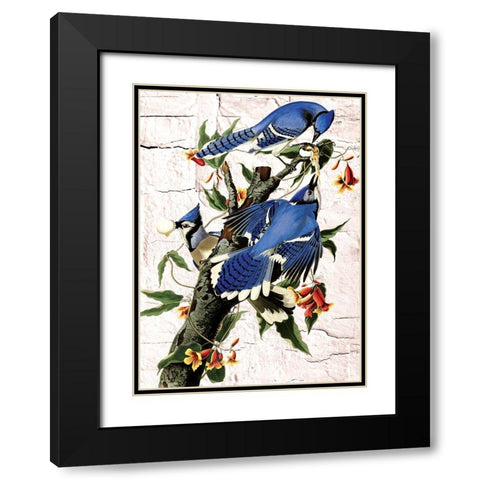Blue Jays Black Modern Wood Framed Art Print with Double Matting by Burney, Yvonne Coleman