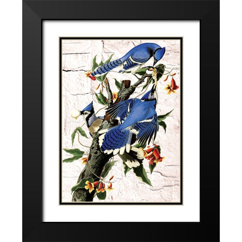 Blue Jays Black Modern Wood Framed Art Print with Double Matting by Burney, Yvonne Coleman