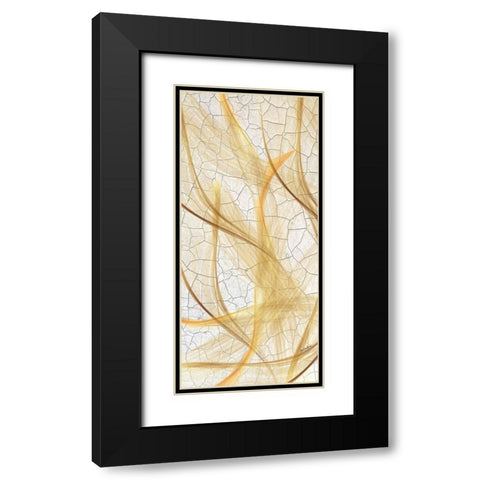 Providence Botanical Black Modern Wood Framed Art Print with Double Matting by Burney, Yvonne Coleman