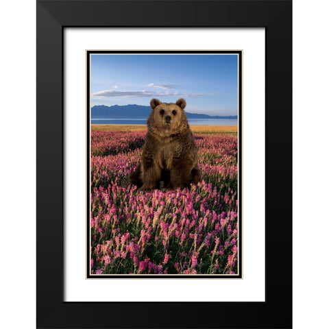 Bear in the Fields Black Modern Wood Framed Art Print with Double Matting by Burney, Yvonne Coleman
