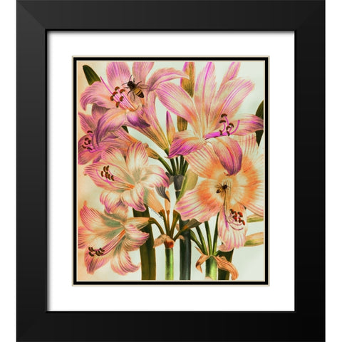 Morning Glory Black Modern Wood Framed Art Print with Double Matting by Burney, Yvonne Coleman