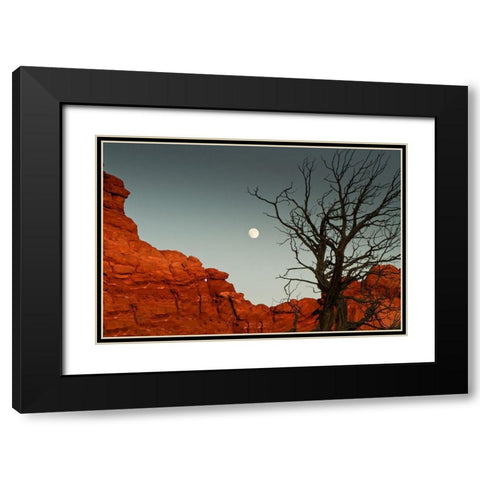Full Moon Black Modern Wood Framed Art Print with Double Matting by Yellow Cafe