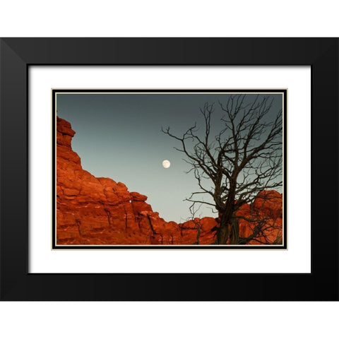 Full Moon Black Modern Wood Framed Art Print with Double Matting by Yellow Cafe