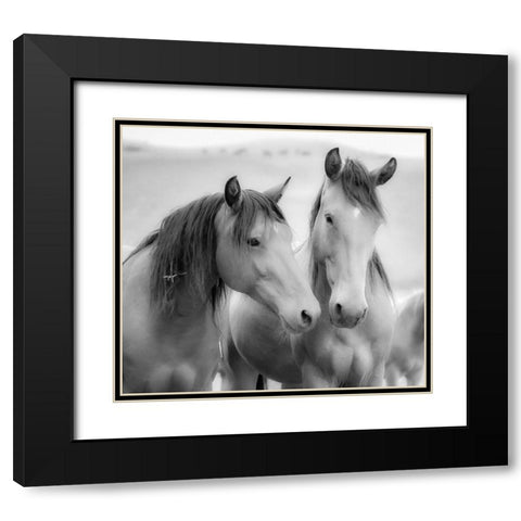 Horse Friends Black Modern Wood Framed Art Print with Double Matting by Yellow Cafe