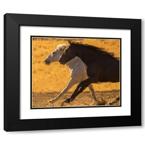 Horse Race Black Modern Wood Framed Art Print with Double Matting by Yellow Cafe