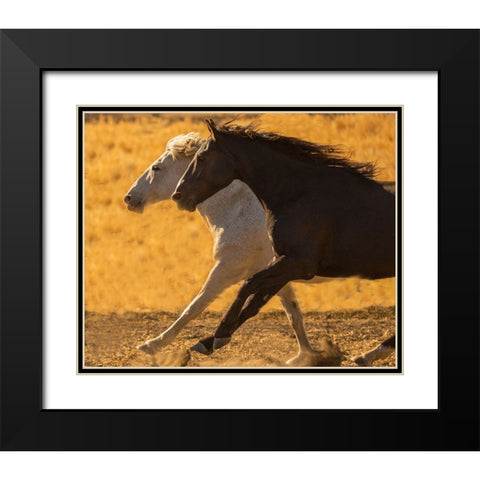 Horse Race Black Modern Wood Framed Art Print with Double Matting by Yellow Cafe