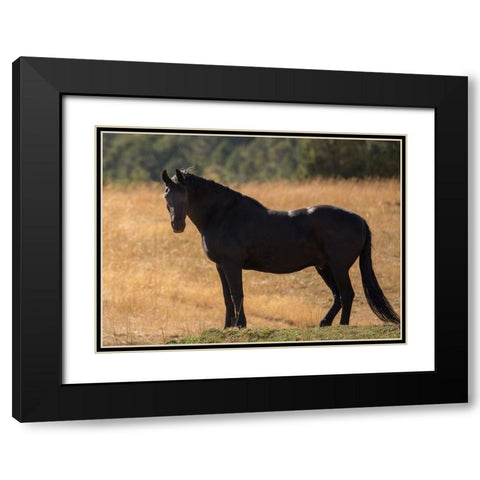 Black Beauty Black Modern Wood Framed Art Print with Double Matting by Yellow Cafe