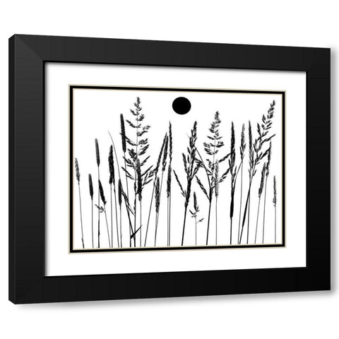 Grassy Moon II Black Modern Wood Framed Art Print with Double Matting by Sommers, Mindy