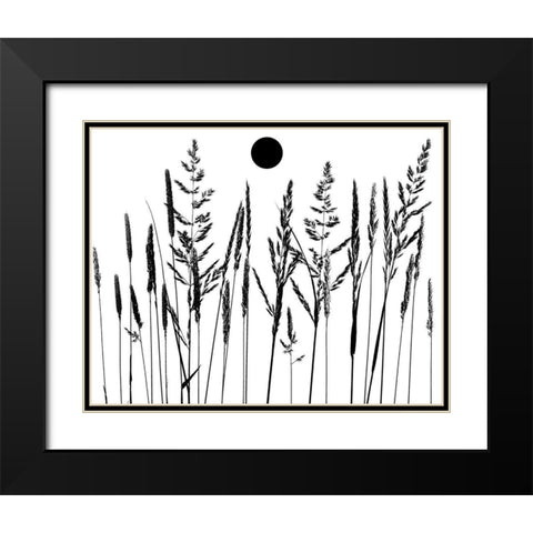 Grassy Moon II Black Modern Wood Framed Art Print with Double Matting by Sommers, Mindy