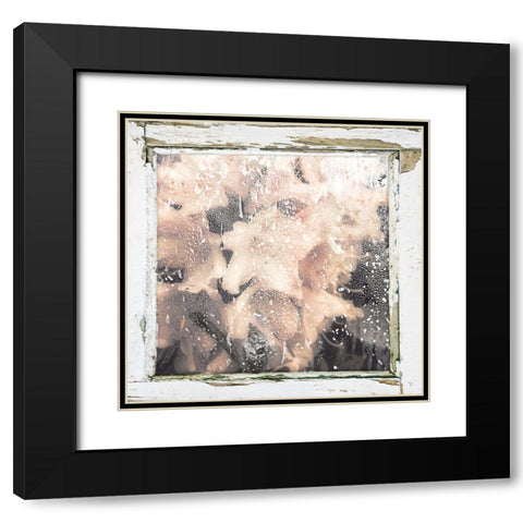 Antique Pink Black Modern Wood Framed Art Print with Double Matting by Sommers, Mindy