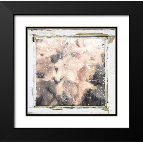 Antique Pink Black Modern Wood Framed Art Print with Double Matting by Sommers, Mindy