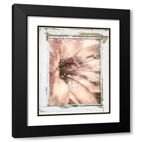 Antique Pink II Black Modern Wood Framed Art Print with Double Matting by Sommers, Mindy