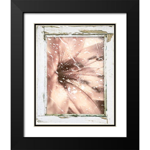 Antique Pink II Black Modern Wood Framed Art Print with Double Matting by Sommers, Mindy