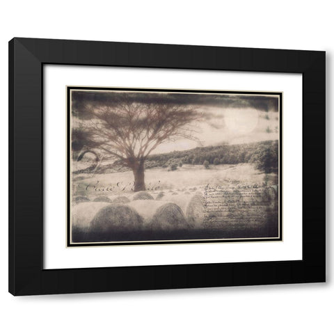 Moon Bales Black Modern Wood Framed Art Print with Double Matting by Sommers, Mindy