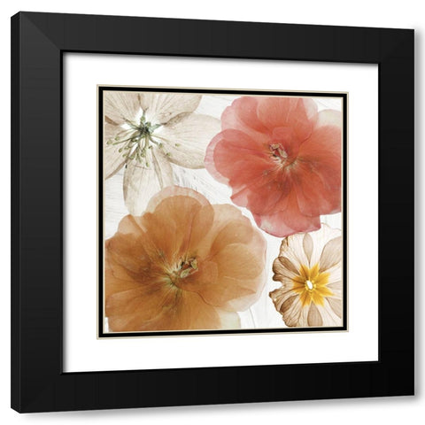 Cottage Refrain I Black Modern Wood Framed Art Print with Double Matting by Sommers, Mindy