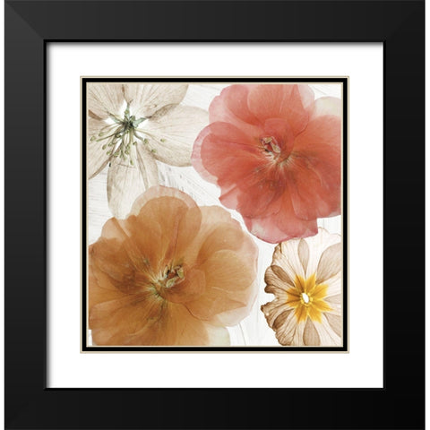 Cottage Refrain I Black Modern Wood Framed Art Print with Double Matting by Sommers, Mindy