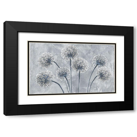 Blue Onion Flowers Black Modern Wood Framed Art Print with Double Matting by Sommers, Mindy