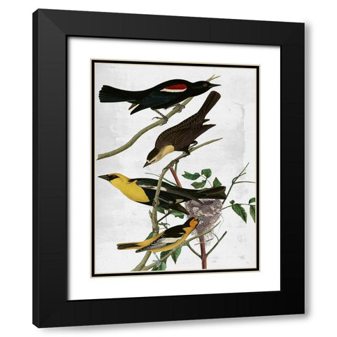 Birds Black Modern Wood Framed Art Print with Double Matting by Sommers, Mindy