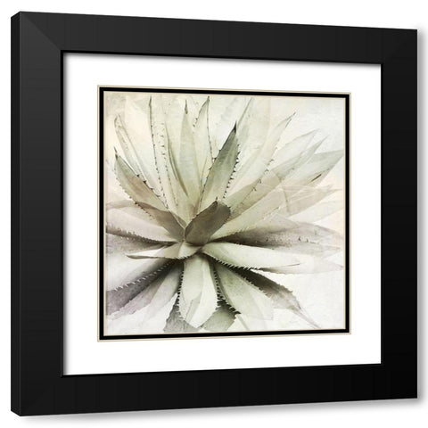 White Agave Black Modern Wood Framed Art Print with Double Matting by Sommers, Mindy