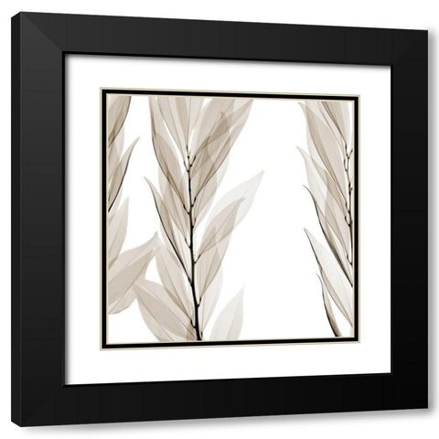Natural Emotions Black Modern Wood Framed Art Print with Double Matting by Sommers, Mindy