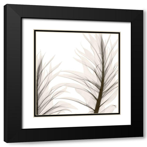 Natural Emotions II Black Modern Wood Framed Art Print with Double Matting by Sommers, Mindy