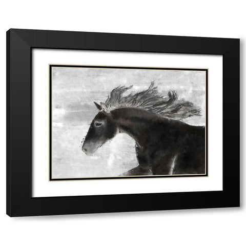 Black Horse Black Modern Wood Framed Art Print with Double Matting by Sommers, Mindy