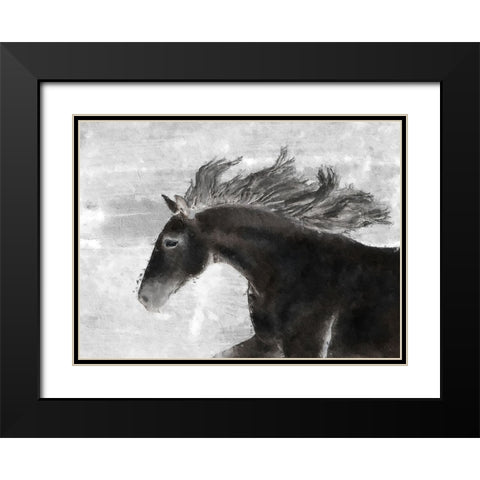 Black Horse Black Modern Wood Framed Art Print with Double Matting by Sommers, Mindy
