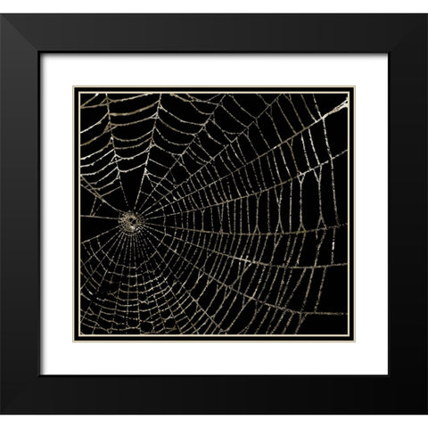 Spider Web Black Modern Wood Framed Art Print with Double Matting by Sommers, Mindy
