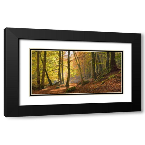 Autumn beech woods Birks o Aberfeldy Black Modern Wood Framed Art Print with Double Matting by Anonymous
