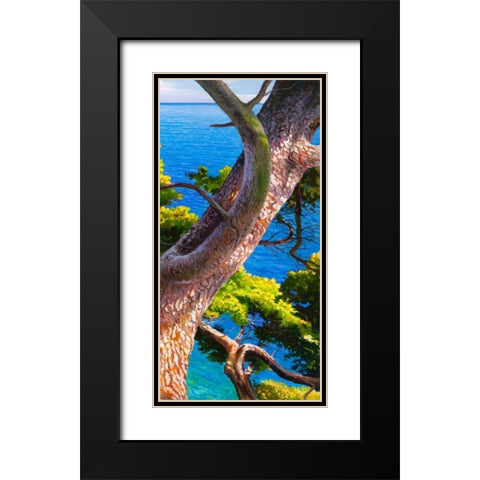 Lavandou III Black Modern Wood Framed Art Print with Double Matting by Galasso, Adriano