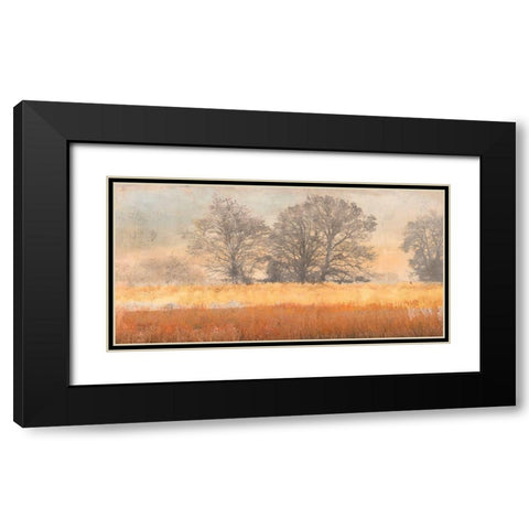 Trees in the Mist Black Modern Wood Framed Art Print with Double Matting by Aprile, Alessio