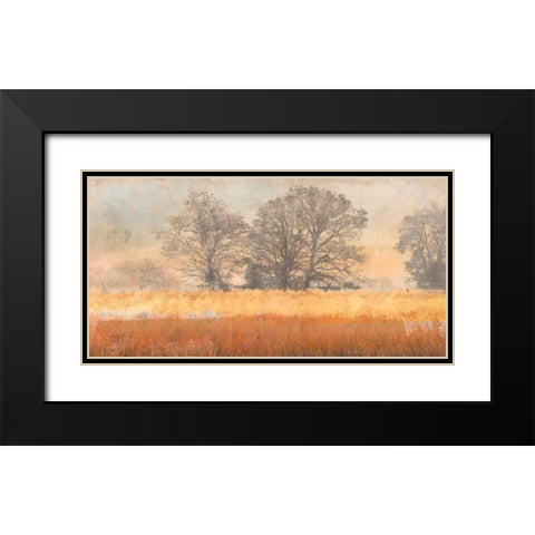 Trees in the Mist Black Modern Wood Framed Art Print with Double Matting by Aprile, Alessio