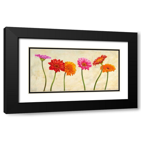 Gerberas Black Modern Wood Framed Art Print with Double Matting by Ann, Cynthia