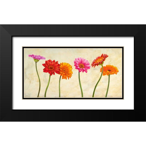 Gerberas Black Modern Wood Framed Art Print with Double Matting by Ann, Cynthia