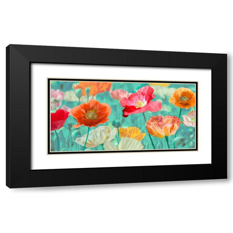 Poppies in Bloom Black Modern Wood Framed Art Print with Double Matting by Cynthia, Ann