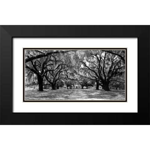 Avenue of oaks, South Carolina Black Modern Wood Framed Art Print with Double Matting by Anonymous