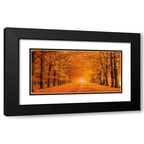 Woods in autumn Black Modern Wood Framed Art Print with Double Matting by Pangea Images
