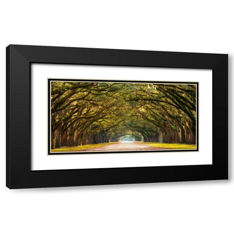 Path lined with oak trees Black Modern Wood Framed Art Print with Double Matting by Anonymous
