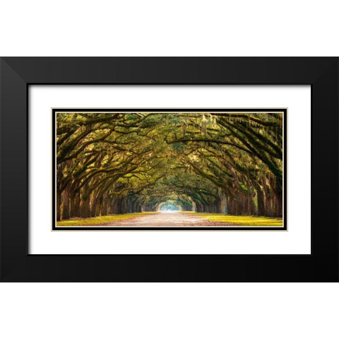 Path lined with oak trees Black Modern Wood Framed Art Print with Double Matting by Anonymous