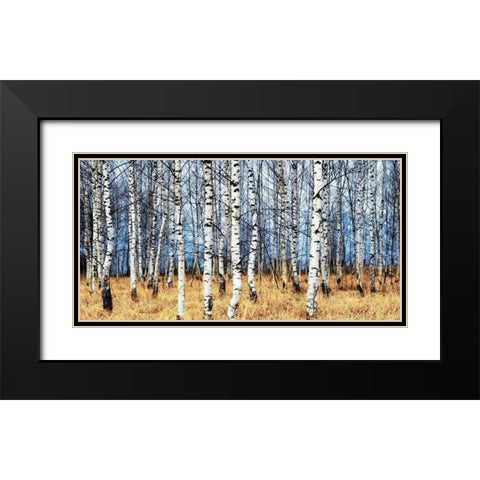 Birch grove in autumn Black Modern Wood Framed Art Print with Double Matting by Znamenskiy, Oleg