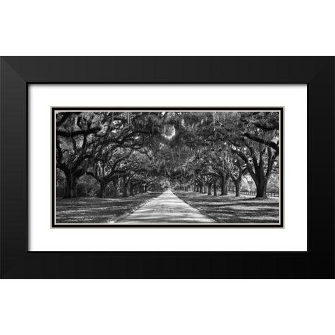 Tree lined plantation entrance, South Carolina Black Modern Wood Framed Art Print with Double Matting by Anonymous