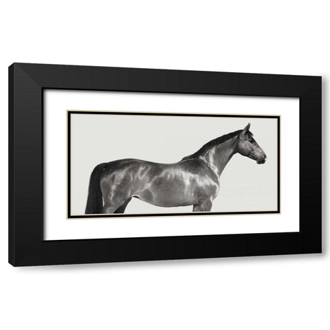 Kingsman Cavalier- English Thoroughbred Black Modern Wood Framed Art Print with Double Matting by Pangea Images