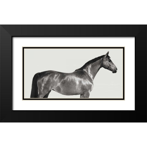 Kingsman Cavalier- English Thoroughbred Black Modern Wood Framed Art Print with Double Matting by Pangea Images