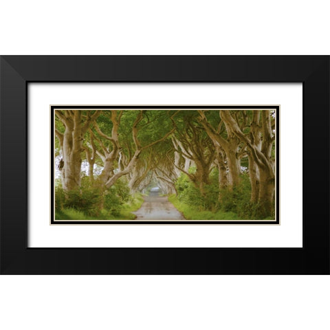 The Dark Hedges, Ireland Black Modern Wood Framed Art Print with Double Matting by Pangea Images